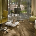 Hyatt Regency Scottsdale Resort and Spa - Scottsdale, AZ