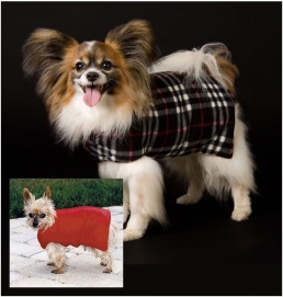Winner of a Down Filled Doggie Coat from Joy Pet Products