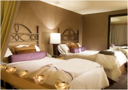 Le Parc Suite Hotel Holds Facebook Contest to Find New Director of Pet Relations