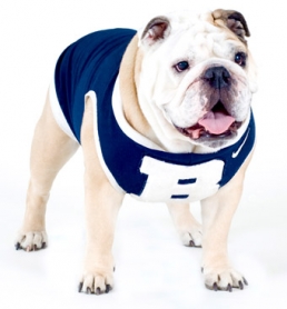 Tailgate Mascots