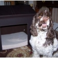 Ooboo Designs accommodates Fido with an indoor house of his or her own