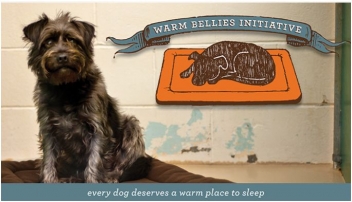 P.L.A.Y. Beds Warm Bellies Initiaitve with Petfinder Foundation Announced