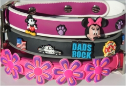 Win a Rustic Hound dog collar and more