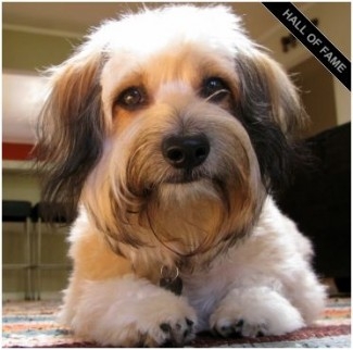 Cuteness.com wants to see your dog! What’s Cuteness.com? Check it out!