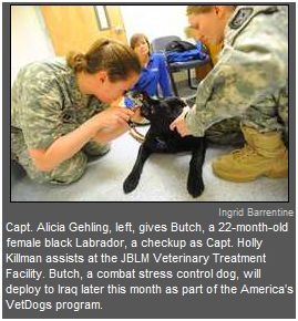 Soldiers with JBLM Veterinary Treatment Facility busy caring for military dogs, cats