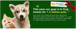 Iams Home 4 the Holidays Blog Hop: Join to help feed animals in need